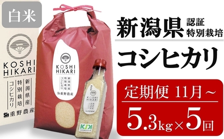 新米先行予約【5ヶ月定期便・11月～発送】コシヒカリ 白米 5kg（ペットボトル米 300g 1本付き）×5回 （計 26.5kg）重ちゃんのお米 令和8年産米 [Y0076]