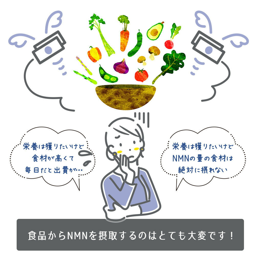 [定期便 3回]魅惑ザクロ NMN Boost(福岡市返礼品)【4袋入り】