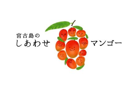 T110 【飲み比べセット】宮古島のしあわせマンゴー 大瓶2本セット