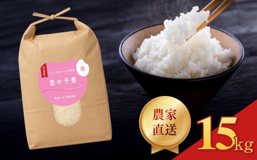令和7年度米  恋の予感 精米 15kg