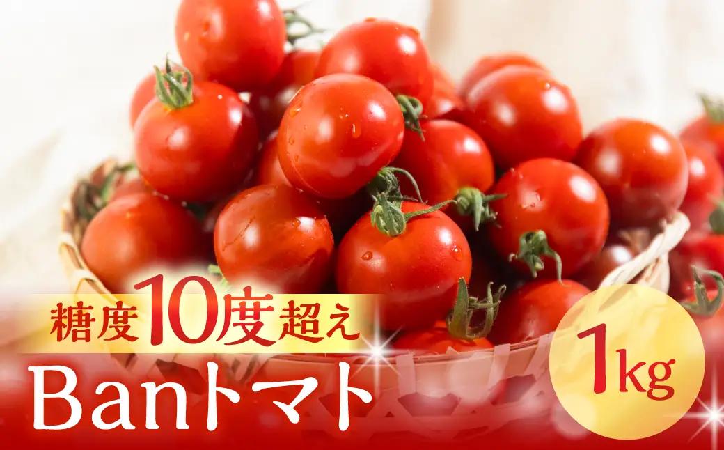 【トマト】≪先行予約≫糖度10度以上  Ban トマト