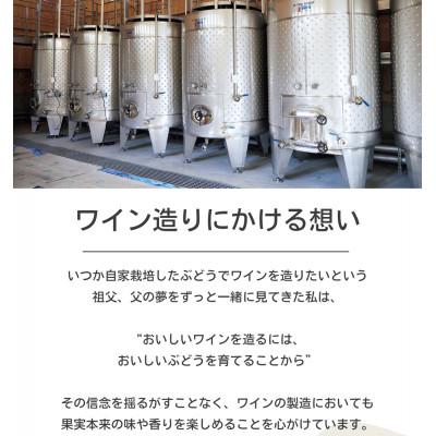 ふるさと納税 岡垣町 ぶどうの樹のオリジナル赤&白ワインセット |  | 03