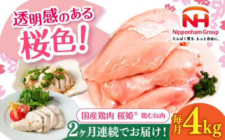 【全2回定期便】桜姫 鶏むね 計4kg（2kg×2パック）《厚真町》【東日本フード株式会社】 桜姫 国産鶏肉 鶏肉 鶏 とり肉 ムネ むね肉 鶏むね 冷凍 北海道 [AXBM009]
