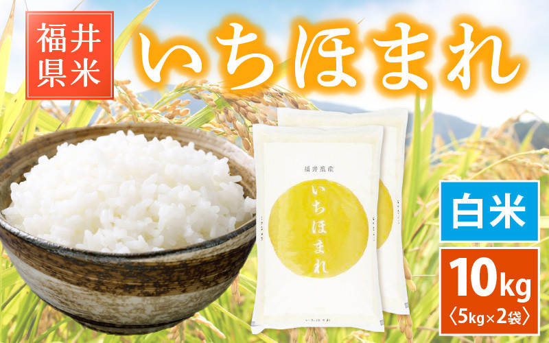 
            「福井県ブランド米」 特A通算6回獲得！お米 いちほまれ 10kg 令和6年 福井県産【白米】【米 10キロ 精米 人気品種】 [e30-c012]
          