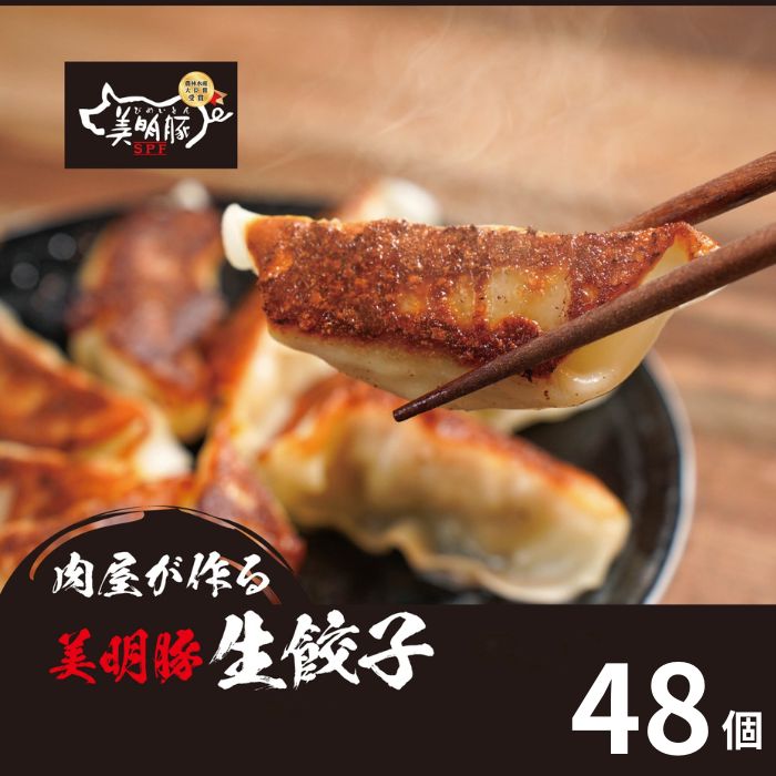 【ふるさと納税】718 肉屋が作る 美明豚 生餃子 48個 (24個×2パック)【吉川商事】