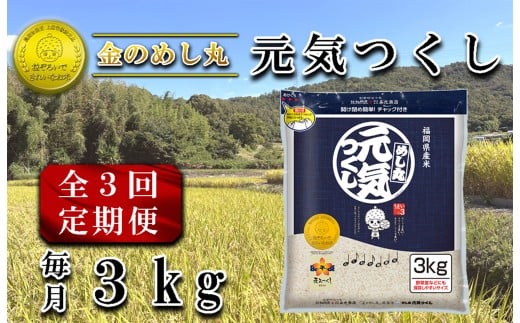 CE-109_【定期便３回】令和７年米　金のめし丸元気つくし ３Kg（1袋）×３回
