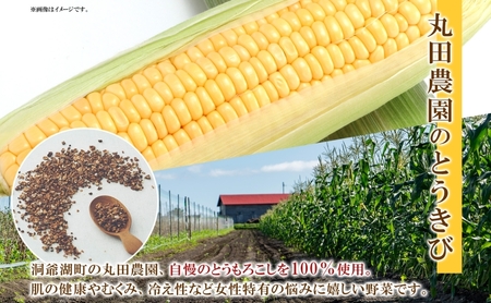 とうきび茶 ティーバッグ 2.2g入り 20包 洞爺湖町産 とうもろこし 丸田農園 とうきび トウモロコシ 無添加 ノンカフェイン 野菜茶 コーン茶 水出し ノンカロリー 健康茶 お取り寄せ ふうか 