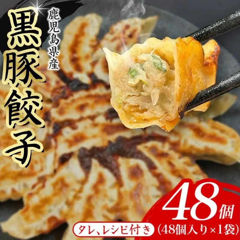 餃子 黒豚餃子 48個【gnkt0001】