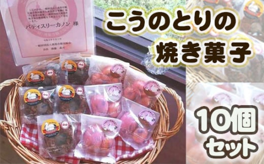 こうのとりの焼き菓子　10個セット ／ ケーキ グルテンフリー 米粉 寒天 贈り物 送料無料 埼玉県 No.510
