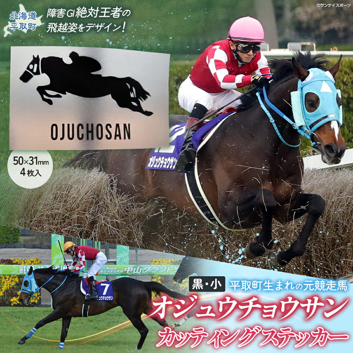 【ふるさと納税】【オジュウチョウサン】カッティングステッカー（小）4枚入り【 ふるさと納税 人気 おすすめ ランキング 馬 競馬 競走馬 引退馬 オジュウチョウサン 北海道 平取町 送料無料】 BRTV023