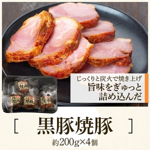 【B02104】ふるさと2選B 焼豚(約200g×4個・計800g)と餃子(12個入×10パック・計120個)のセット 鹿児島 国産 九州産 黒豚 豚肉 お肉 焼豚 餃子 冷凍 おかず ギフト 贈答 