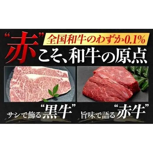 【ハンバーグ】土佐あかうしハンバーグ 2kg 200gx10個