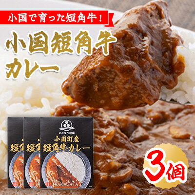 【ふるさと納税】小国短角牛カレー(1人前×3箱)【1413218】