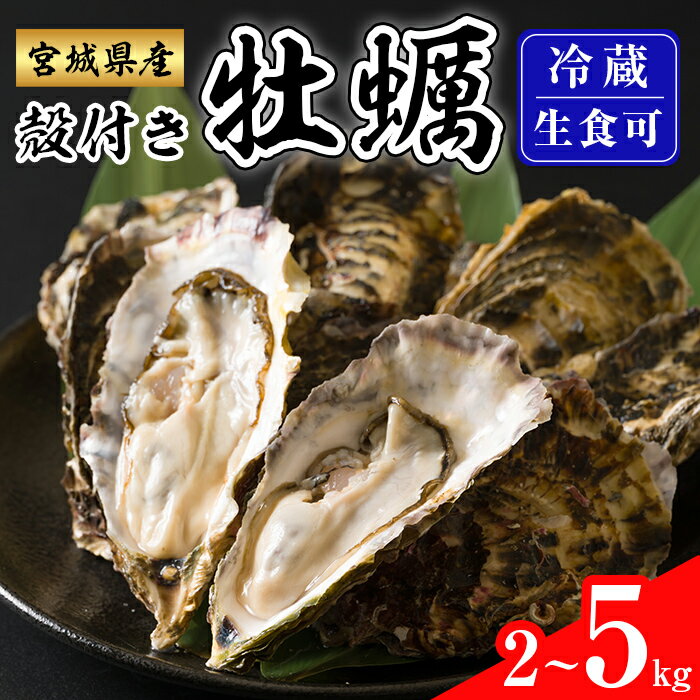 【ふるさと納税】 ≪先行予約受付中！≫殻付き牡蠣（生食用）冷蔵 選べる内容量 2kg～5kg 生牡蠣 宮城県産 牡蛎 牡蠣 カキ かき 生食 オイスター カキフライ 牡蠣鍋 海鮮 国産 魚貝類 バーベキュー BBQ【カタクチ商店株式会社】tm734・tm735・tm736・tm737