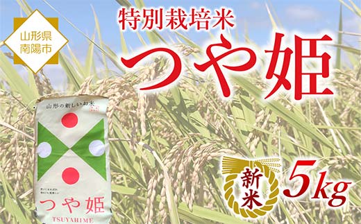 【令和8年産 新米 先行予約】 特別栽培米 つや姫 5kg 《令和8