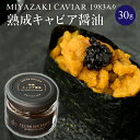 【ふるさと納税】熟成キャビア醤油 30g MIYAZAKI CAVIAR 1983 国産原料 芳醇 旨味 魚介類 長期熟成 豪華 チョウザメ魚卵 昆布 お料理 厳選 宮崎県 宮崎市 送料無料