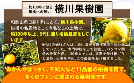 貯蔵熟成 極早生みかん(日南1号) 約5kg S～2L 家庭用 サイズ混合 横川果樹園