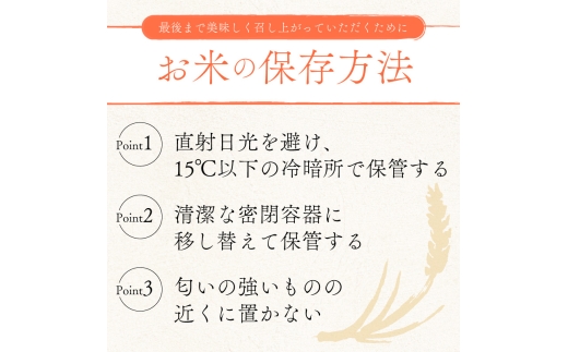 【令和8年産】 ミルキークイーン 10kg 玄米 令和8年産 5kg 2袋 米 こめ コメ お米 ご飯 ミルキークイーン ミルキークィーン 令和8年 滋賀 彦根