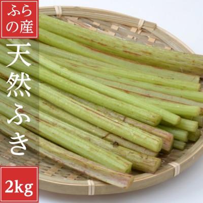 ふるさと納税 富良野市 2027年先行予約　北海道富良野産 天然ふき 2kg