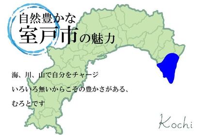 【先行予約受付中】ぽんかん5kg｜訳あり 室戸ポンカン LLサイズ｜高知県室戸市の自然の恵みで育った甘くて濃厚な味わい【ふるさと納税】