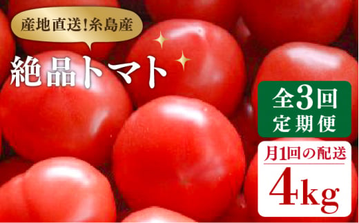 
【全3回定期便】糸島産 絶品トマト かれん (4kg28玉前後) 糸島市 / シーブ 野菜 とまと [AHC066]
