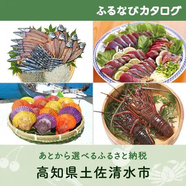 【有効期限なし！後からゆっくり特産品を選べる】高知県土佐清水市カタログポイント