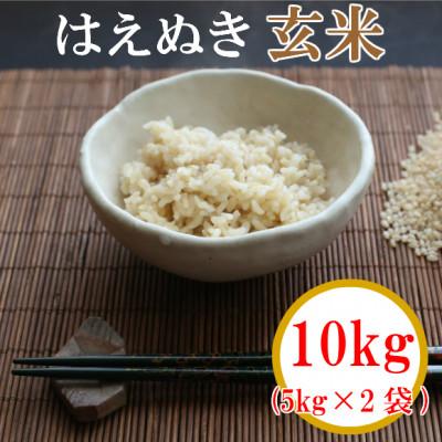 ふるさと納税 鶴岡市 【令和7年産】馬町さくらファームのはえぬき玄米10kg(5kg×2袋)[K-774] |  | 01