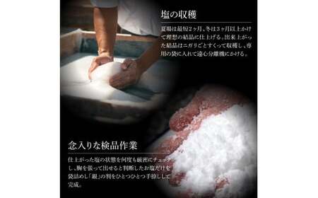 銀象ソルト Ginzo-Salt 星屑ソルト 100g×2個セット 合計200g 塩 しお 調味料 天日塩 完全天日塩 国産 高知県産 ソルト ミネラル 健康 料理 調理 お塩 塩【塩杜氏銀象】 [B