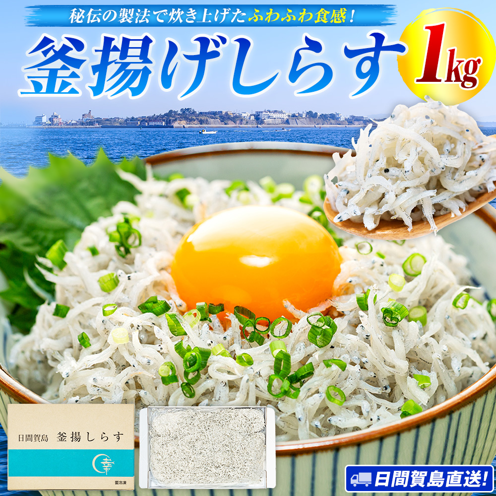 日間賀島 釜揚げ しらす 1kg 天然 塩 愛知県 南知多町 冷凍 ご飯 ごはん パスタ サラダ ピザ 丼 料理 国産 パーティー 魚 さかな シラス ミネラル 人気 おすすめ