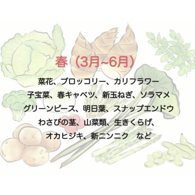 ふるさと納税 南伊豆町 湯の花　季節の野菜と果物セット |  | 01