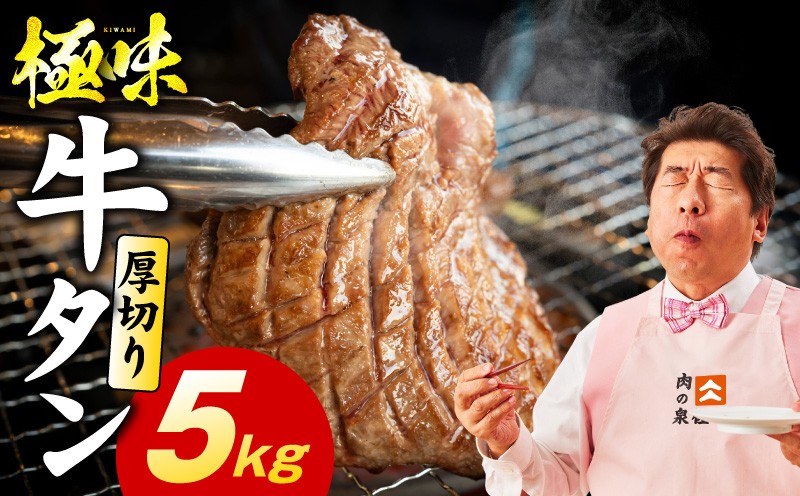 
                  【スピード発送】厚切り牛たん 5kg【氷温熟成×旨塩ダレ 味付き 訳あり サイズ不揃い 500g 小分け 焼くだけ 焼肉】
                