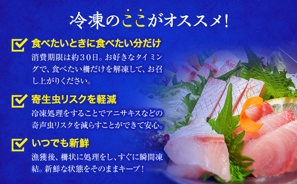 【偶数月 全3回 定期便】氷見漁港で競り落としたお刺身詰め合わせセット 〈冷凍〉　|   刺身セット 鮮魚 詰め合わせ 富山湾 海の幸 魚介類 お魚 刺し身 さしみ 氷見漁港 柵 冷凍 瞬間凍結