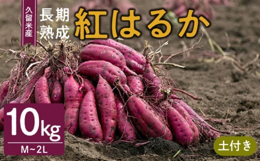 
            福岡県久留米市産　長期熟成紅はるか 10kg　M～2L　土付き
          