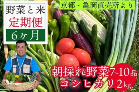 訳あり【6回野菜定期便】朝採れ野菜とコシヒカリ2kg （2ヶ月に1回） 京都丹直売所直送 7～10品目 亀岡 佐伯の里 家計応援 生活応援※北海道・沖縄・離島への配送不可 