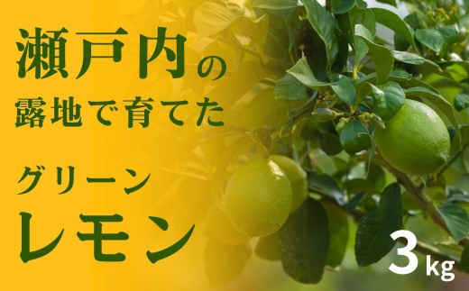 【 先行予約 】 瀬戸内の露地 グリーンレモン 選べる 約3kg 【 2026年10月末～11月下旬発送 】 皮まで丸ごと食べられる ワックス不使用 防腐剤不使用 広島 大崎上島 せとうちレモン 岩崎農園 国産 送料無料 産地直送 フルーツ 果物 お取り寄せ 秋 旬