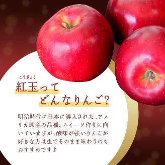 【2025年11月上旬発送】 【特選】りんご 5kg 紅玉 青森