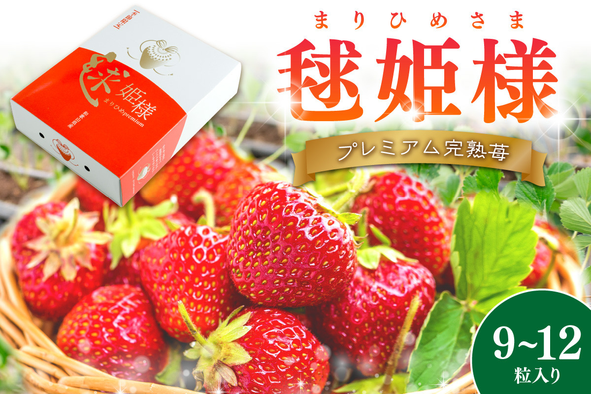 
            プレミアム完熟いちご 毬姫様（まりひめさま）9～12粒入り（1月土日祝）《先行予約》【配送不可地域：北海道・沖縄・離島】
          