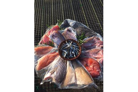 干物 詰め合わせ 干物