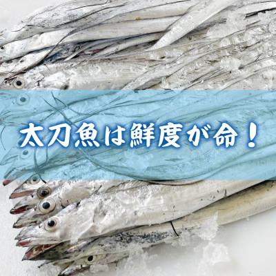 ふるさと納税 有田市 ☆冷蔵お届け☆地元の味　太刀魚浜焼150g×3パック |  | 01