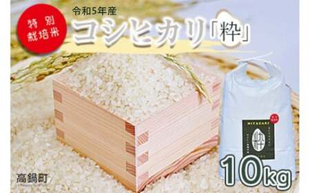 ＜令和6年度 特別栽培米「粋」コシヒカリ 10kg＞ ※入金確認後、翌月末迄に順次出荷します。【c855_kh_x5】  お米 米 白米 精米 宮崎県 高鍋町