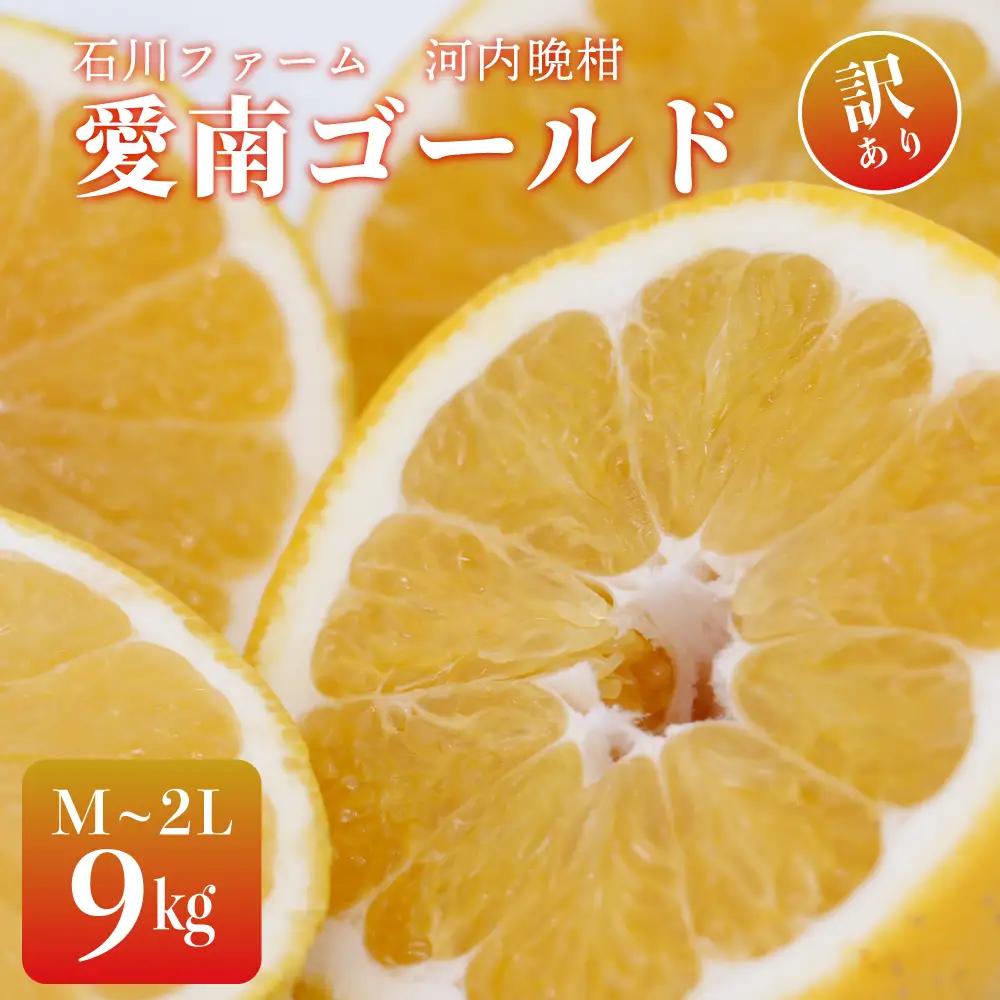 訳あり 愛南ゴールド（河内晩柑） 9kg サイズ(Ⅿ～2Ⅼ) みかん 愛媛 河内晩柑 石川ファーム