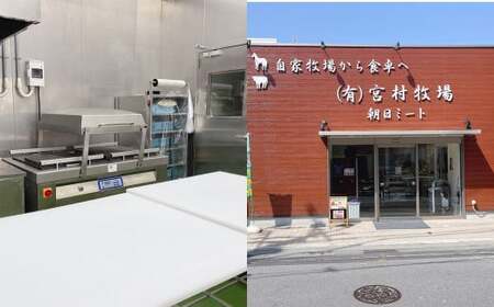 ＜ R8年熊本地震復興支援 ＞純熊本県産 馬刺しセット（小） 馬刺し 300g 馬肉 上赤身 霜降り 上霜降り
