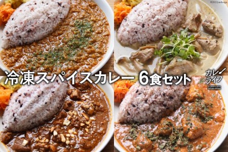 冷凍 スパイスカレー 4種 計5食セット [カレーライフ 長崎県 雲仙市 item2247]