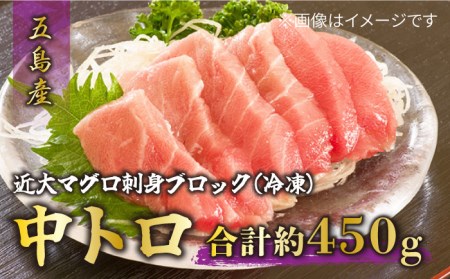 長崎県五島産 近大マグロ  （中トロ）刺身ブロック 五島市/五島ヤマフ [PAK018]