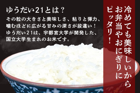 令和6年産 新米 徳島県那賀町産 ぜったい米(こめ)だ 2合×1袋・6合×1袋・5kg×1袋セット ゆうだい21【徳島 那賀町 国産 米 お米 白米 精米 徳島県産 国産米 高級米 単一原料米 お弁当