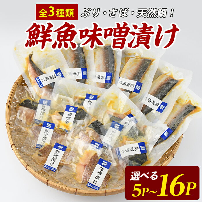 【ふるさと納税】漁師がつくる味噌漬けセット（5P・10P・16P）魚 味噌漬け 焼き魚 焼くだけ 鯛 ブリ ぶり 鰤 サバ さば 鯖 総菜 詰め合わせ セット 【指宿山川水産】