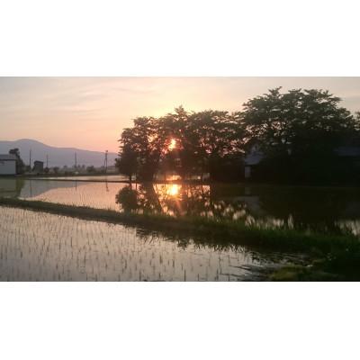 ふるさと納税 上越市 2kg×2袋「Riki-saku コシヒカリ」アフコ・秋山農場のPB米 |  | 03