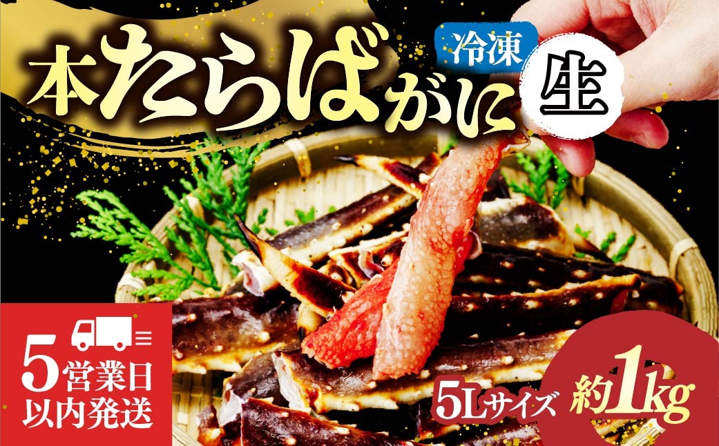 
                  生たらばがに脚 5L×1肩(約1kg) 【5営業日以内配送】｜カニ かに 蟹 本たらば蟹 たらばがに たらば蟹 タラバ蟹 たらば タラバ ボイル 生 刺身 しゃぶしゃぶ 5L 海鮮 ボイル ひたちなか市 茨城県
                