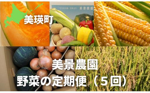 
                  野菜 定期便【令和9年産 先行予約】5回便 野菜セット 美景農園 メロン とうもろこし 夏野菜 秋野菜 米 |  詰め合わせ セット 赤肉メロン トウモロコシ 夏野菜 秋野菜 じゃがいも 人参 玉ねぎ かぼちゃ お米 こめ コメ ななつぼし 5ヶ月 5カ月 5か月 5回 [087-10]
                