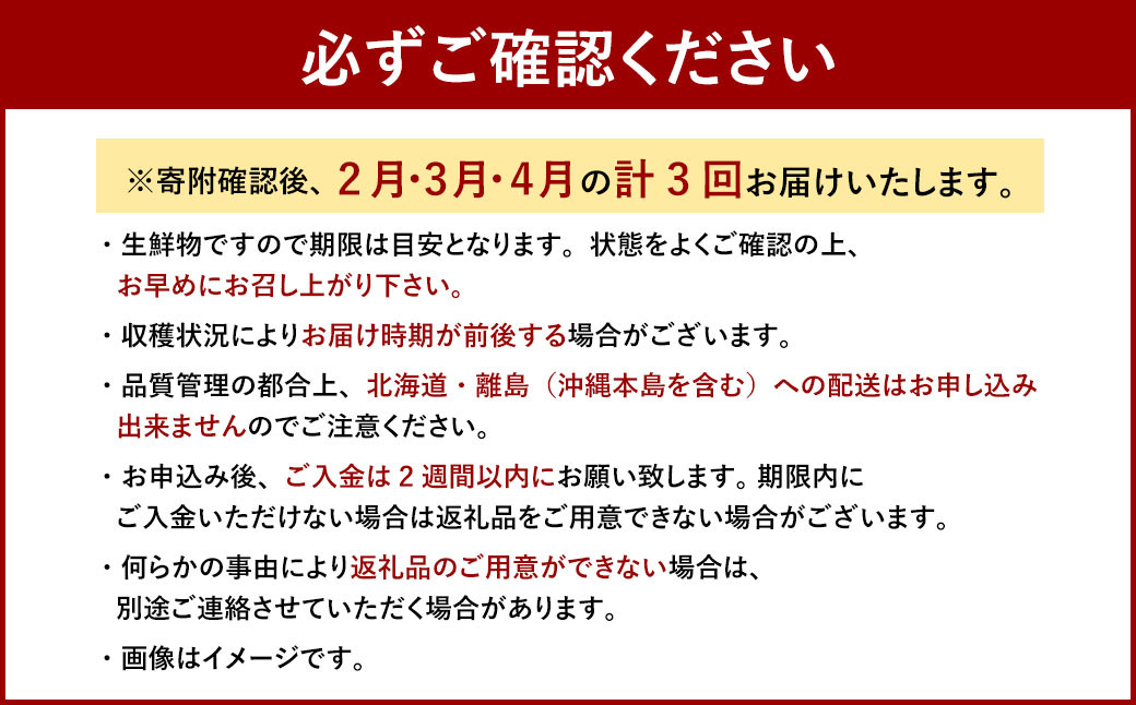 【3回定期便】博多あまおう2パック